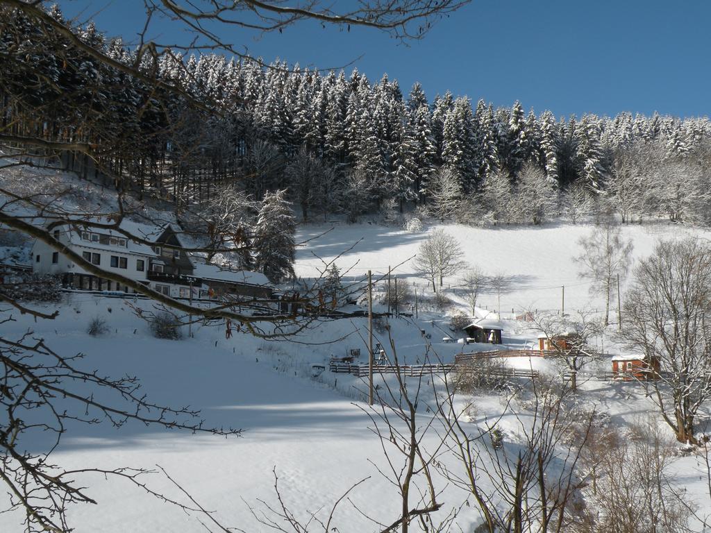 Landgasthof Nesselbach Nordenau Bagian luar foto